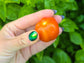 Aosta Valley Long Keeper Cherry Tomato Seeds