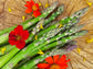 UC 157 Asparagus Vegetable Seeds