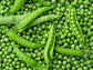 Avi Joan RARE Green Pea Seeds