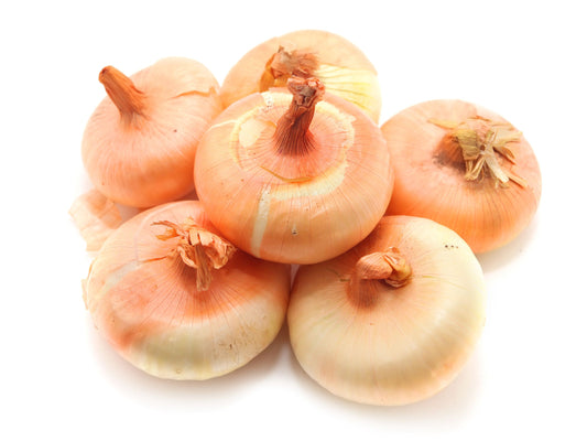 Borettana Yellow Cipollini Short Day Onion Seeds