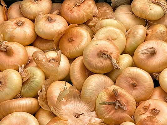Borettana Yellow Cipollini Short Day Onion Seeds