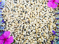 California Black-Eye Pea #5 Seeds