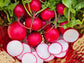 Cherry Belle Radish Seeds