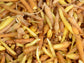 Chinese Keys aka Finger Root Starter Plant