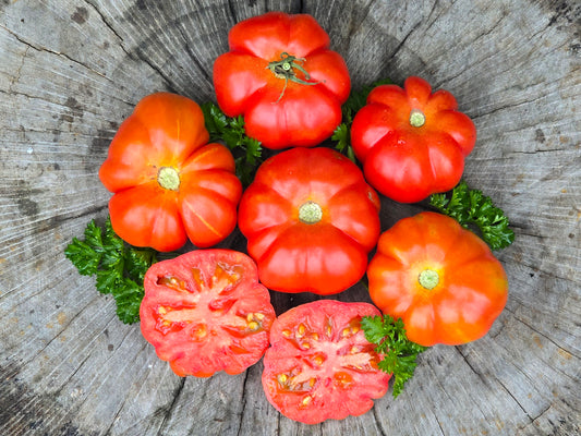 Costoluto Genovese Tomato Seeds