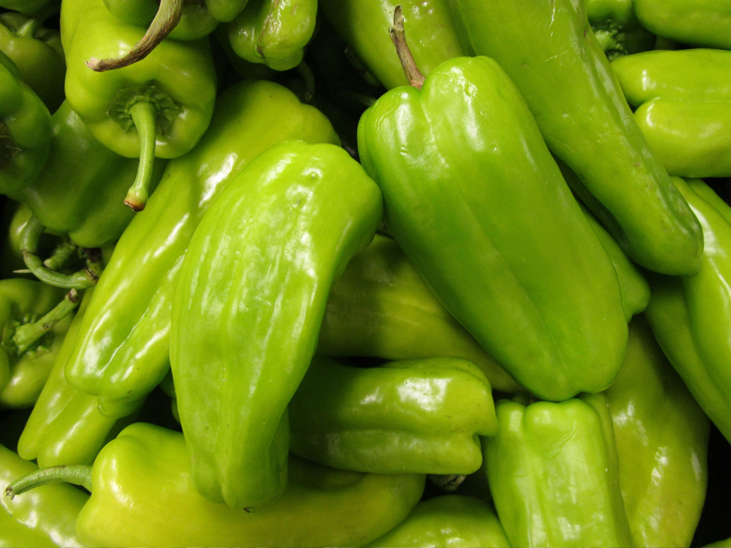 Cubanelle Sweet Pepper Seeds