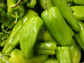 Cubanelle Sweet Pepper Seeds