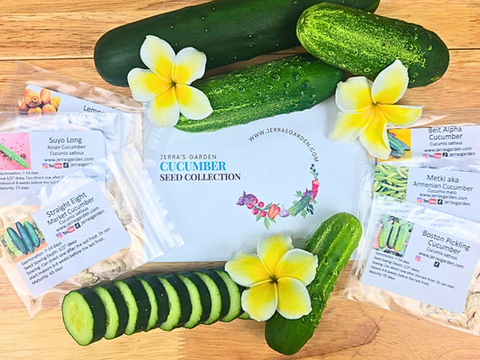Cucumber Heirloom Seed Collection Gift Set