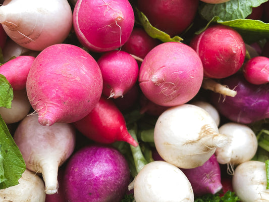 Easter Egg Blend Radish Seeds
