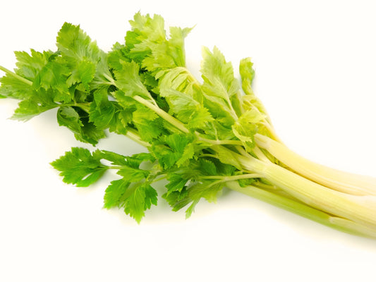 Golden Yellow Chinese Celery aka Kintsai Seeds