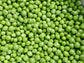 Green Arrow Sweet Green Shelling Pea Seeds