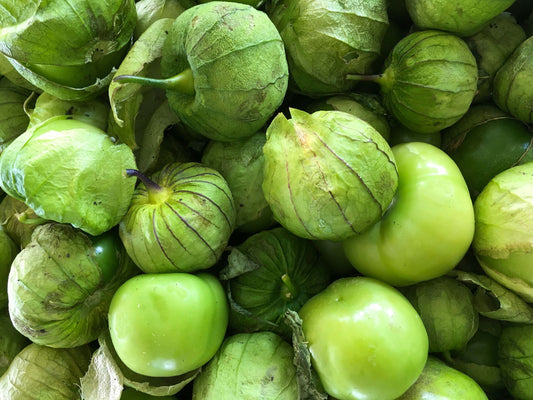 Early Green Tomatillo Seeds