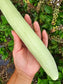 RARE Indian Snake Cucumber Seeds