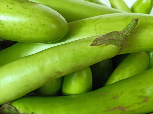Louisiana Long Green Eggplant Seeds