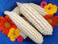 RARE White Mayan Maize Corn Seeds