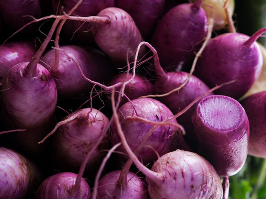 Mini Purple Daikon (Radish) Hybrid Seeds