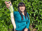 Minowase Daikon Radish Seeds