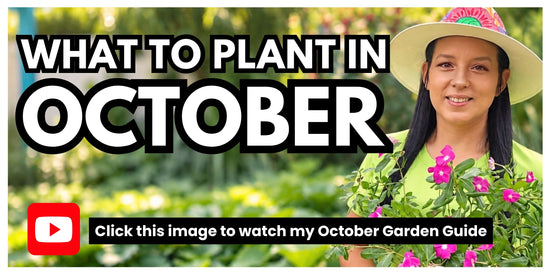 October Garden Guide – Click to watch for October planting ideas and learn what to plant in your fall garden.