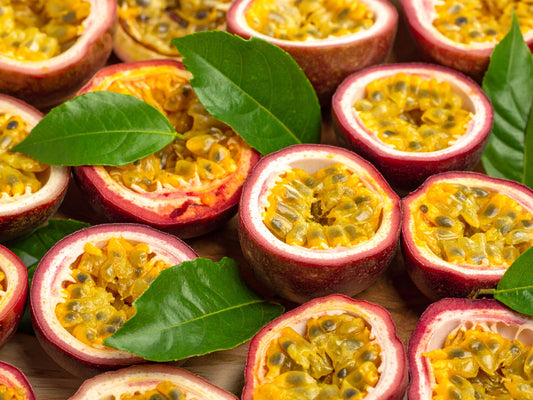 Panama Red Passion Fruit LIVE Starter Plant