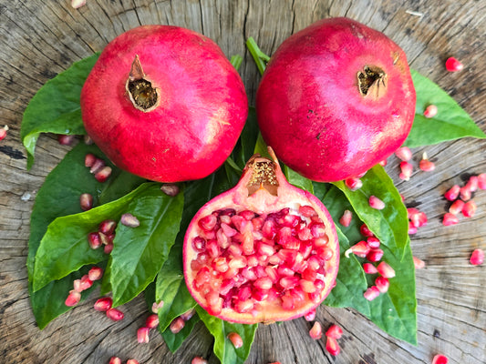 Wonderful Pomegranate Fruit Tree Self-Fertile LIVE PLANT