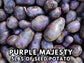 Purple Majesty Seed Potatoes for Planting