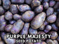 Purple Majesty Seed Potatoes for Planting