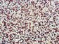 Brilliant Rainbow Quinoa Seeds