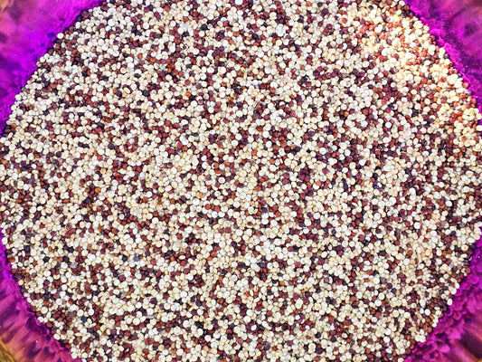 Brilliant Rainbow Quinoa Seeds