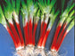 Red Beard Bunching Onion Seeds