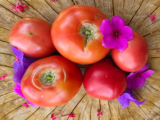 Dwarf Rosella Crimson Tomato