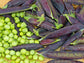 Shiraz Purple Sweet Green Pea Seeds