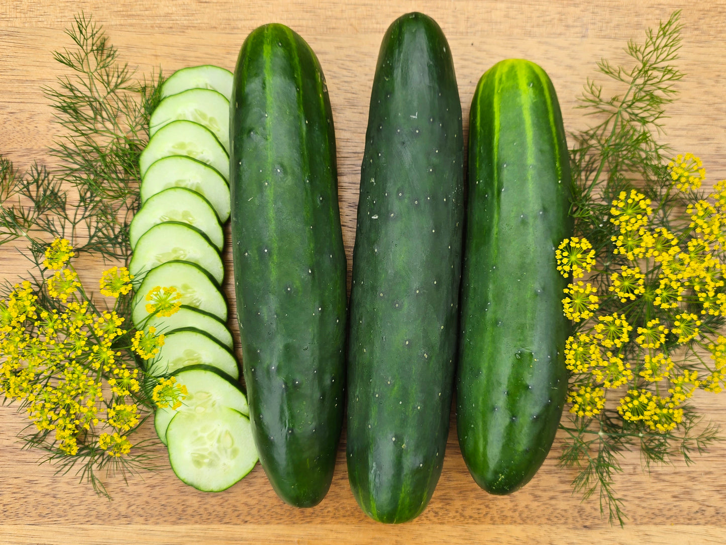 Straight Eight Market Cucumber Seeds