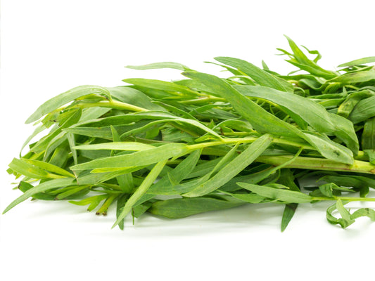 Tarragon Herb Seeds