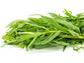 Tarragon Herb Seeds