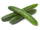Tasty Emperor F1 Parthenocarpic Japanese Cucumber Seeds