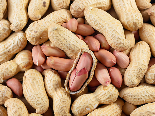 Tennessee Red Peanut Seeds