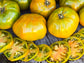 Thorburn's Terra Cotta Heirloom Tomato Seeds