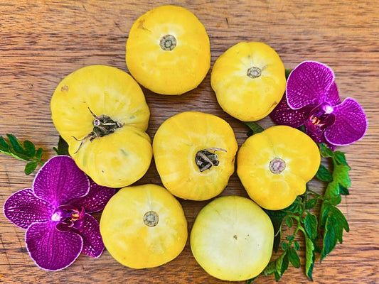White Queen Tomato Seeds
