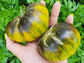 Xanadu Green Goddess Tomato