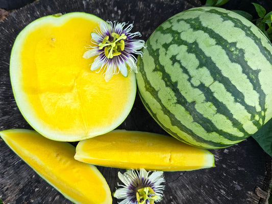 Yellow Petite Watermelon Seeds