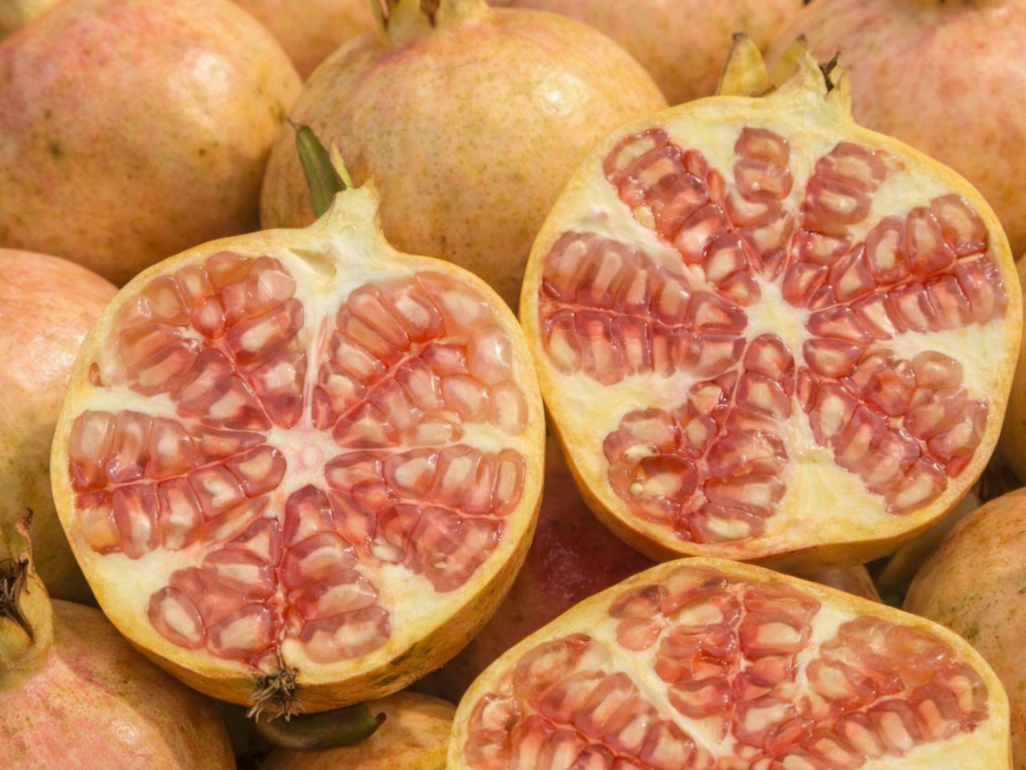 Azadi Pomegranate Fruit Tree Self-Fertile LIVE PLANT