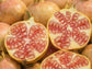Azadi Pomegranate Fruit Tree Self-Fertile LIVE PLANT