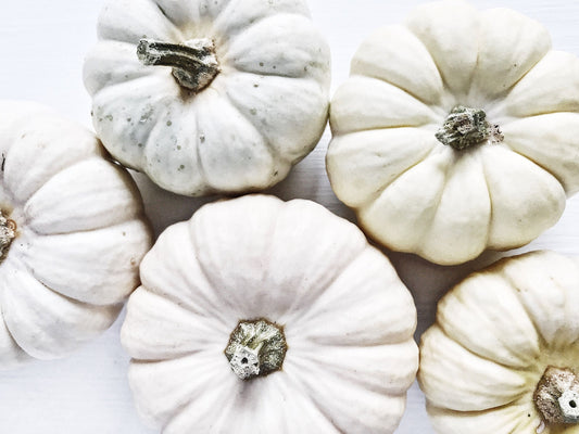 Baby Boo Mini White Pumpkin Seeds