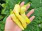 Banana Sweet Wax Pepper Seeds