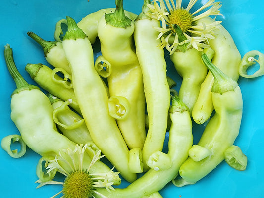 Banana Sweet Wax Pepper Seeds