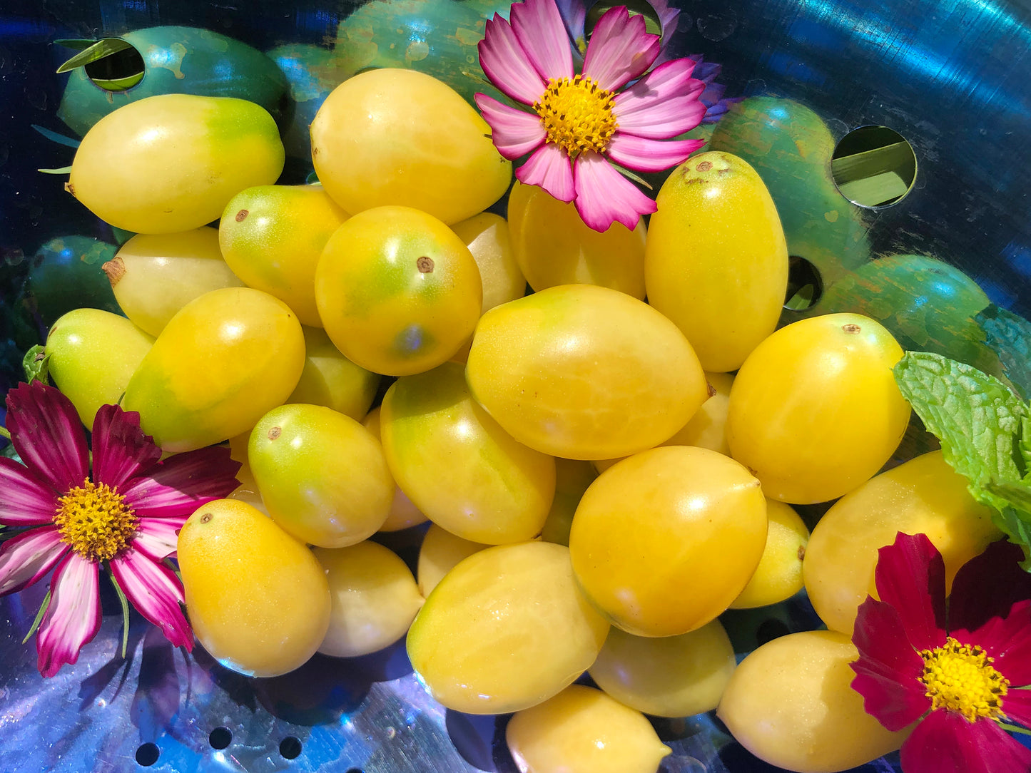 Barry's Crazy Cherry Tomato Seeds