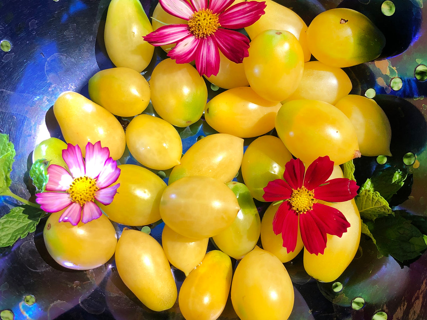 Barry's Crazy Cherry Tomato Seeds