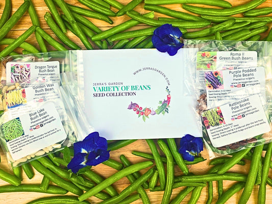 Bean Garden Heirloom Seed Collection Gift Set
