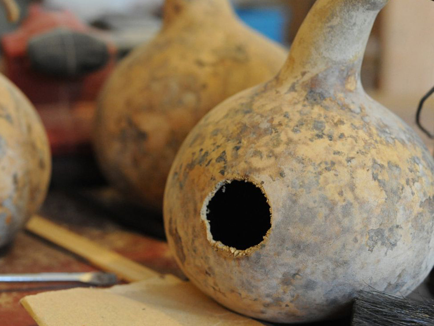 Birdhouse Bottle Gourd Seeds