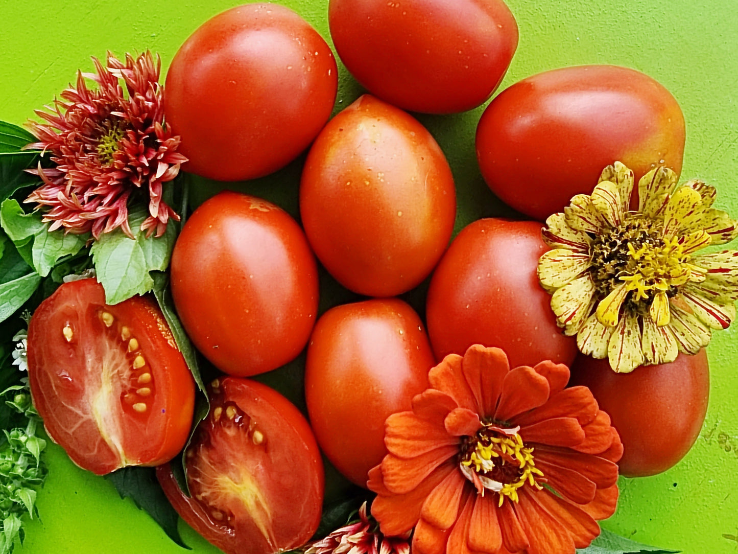 Bisignano Italian Paste Tomato